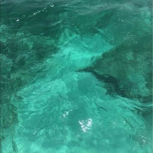 Meet your Posher, Jocelyn