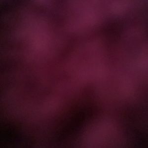 Meet your Posher, Bobby