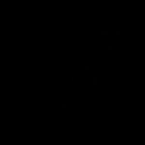 Meet your Posher, Casin