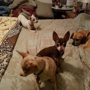 Meet your Posher, Cheryl