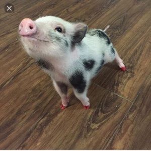 Meet your Posher, Cindy