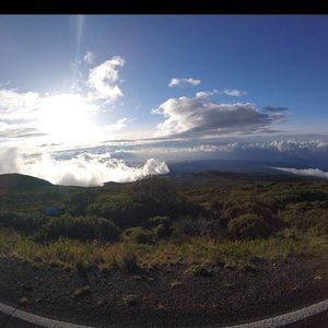 Meet your Posher, Dalton