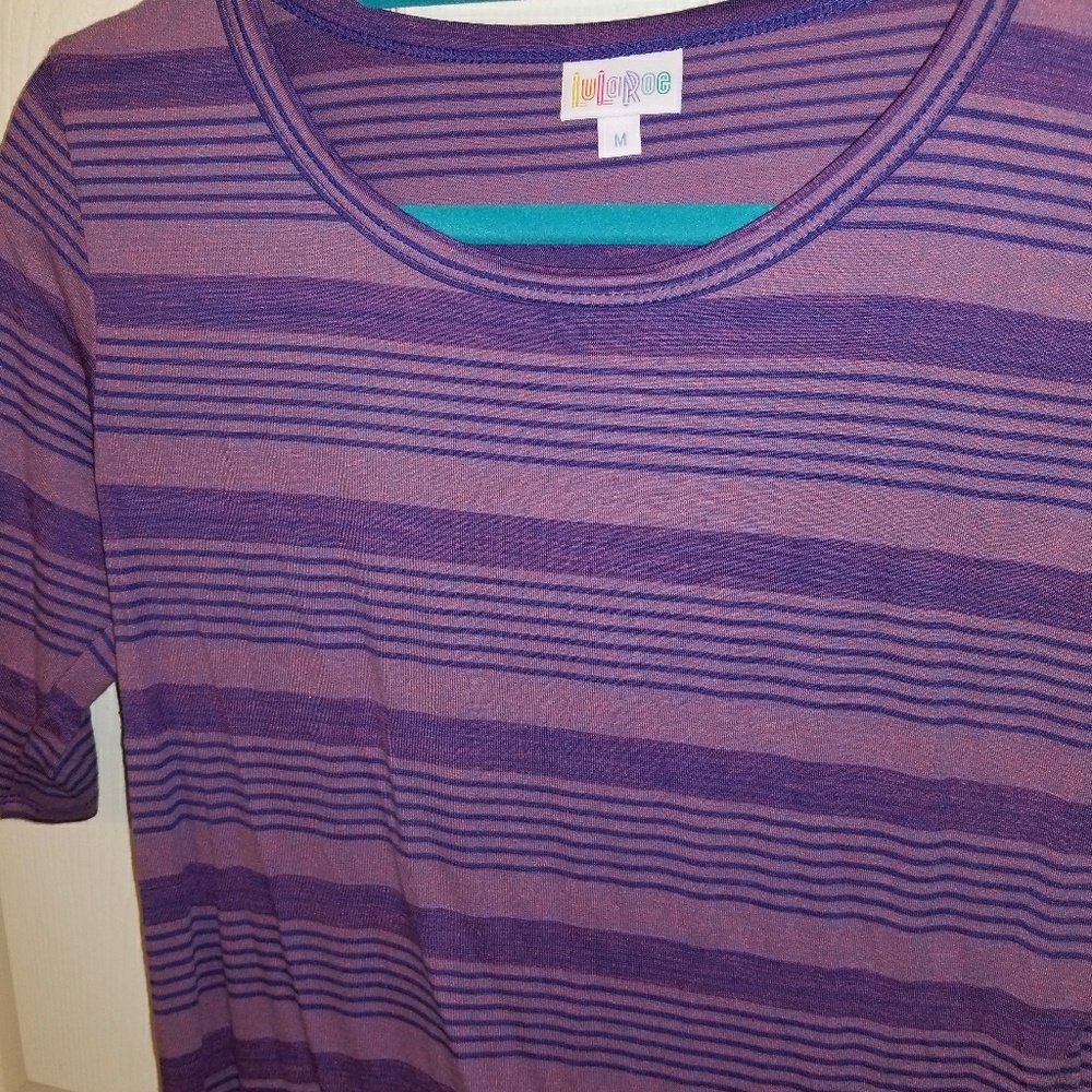 Purple Striped Julia