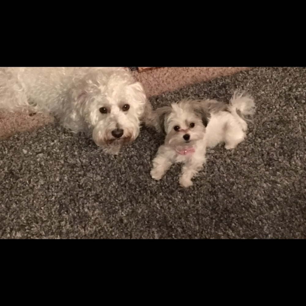 Meet your Posher, Laura