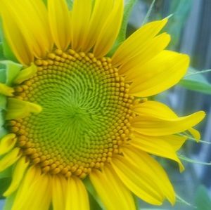 Meet your Posher, Banita