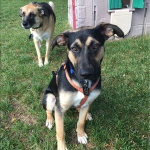 Meet your Posher, Bryanna