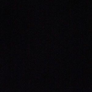 Meet your Posher, Daisy