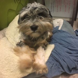 Meet your Posher, Jill