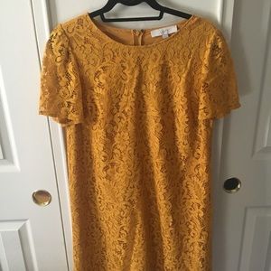 Ann Taylor LOFT Goldenrod Lace Shift dress sz 10
