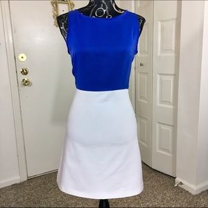 Zara blue & white colorblock minidress