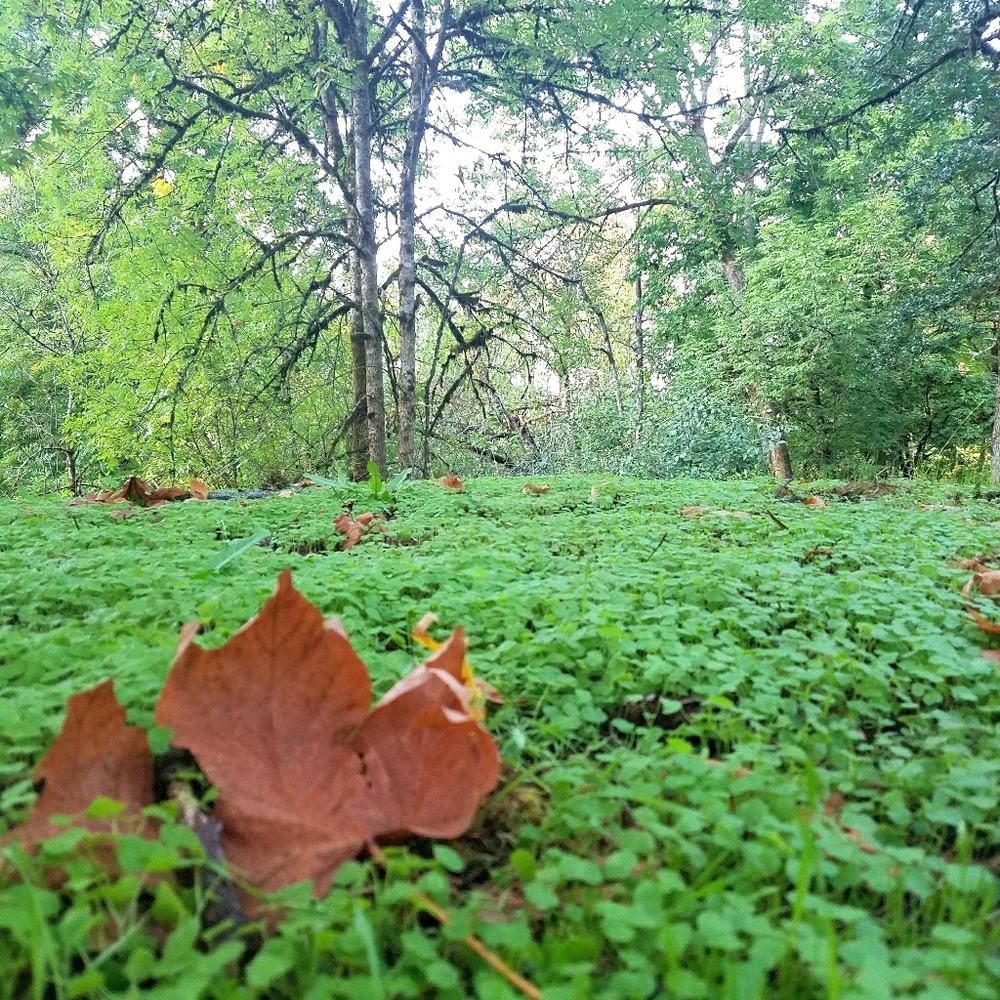 Meet your Posher, Mayela