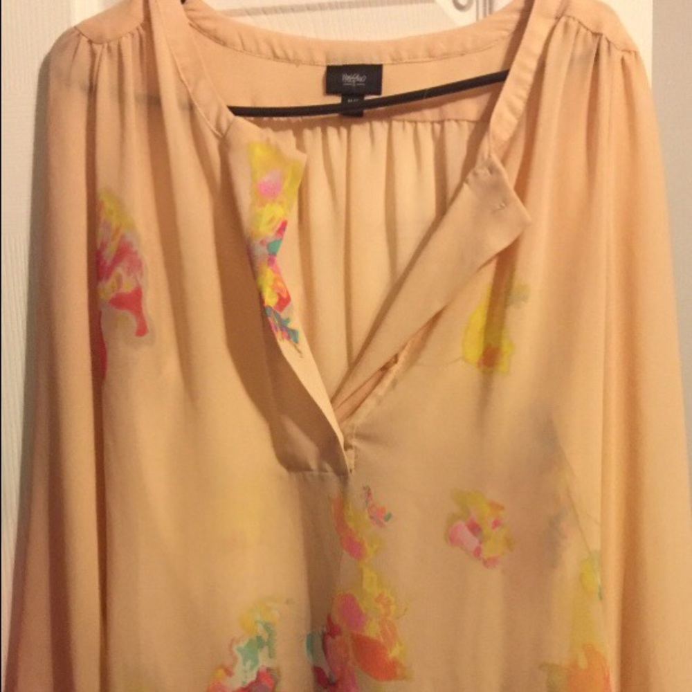 Sheer long sleeve top