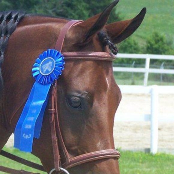 Meet your Posher, Tracy - Picture 1 of 1