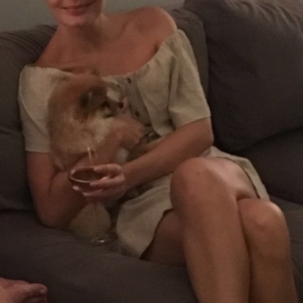 Lush button down off the shoulder dress - Picture 4 of 5