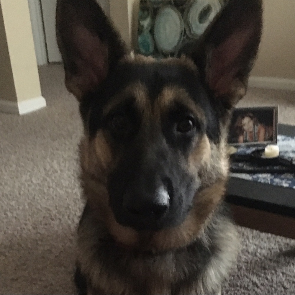 Meet your Posher, Uno