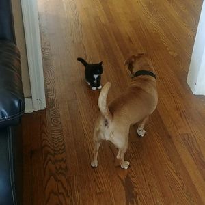 Meet your Posher, Connie