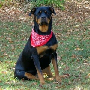 Meet your Posher, Becky