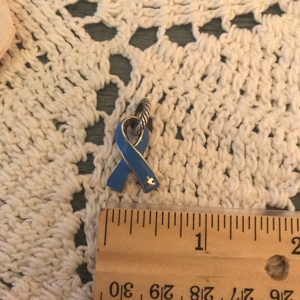 Brighton Autism Awareness Charm - Picture 3 of 6