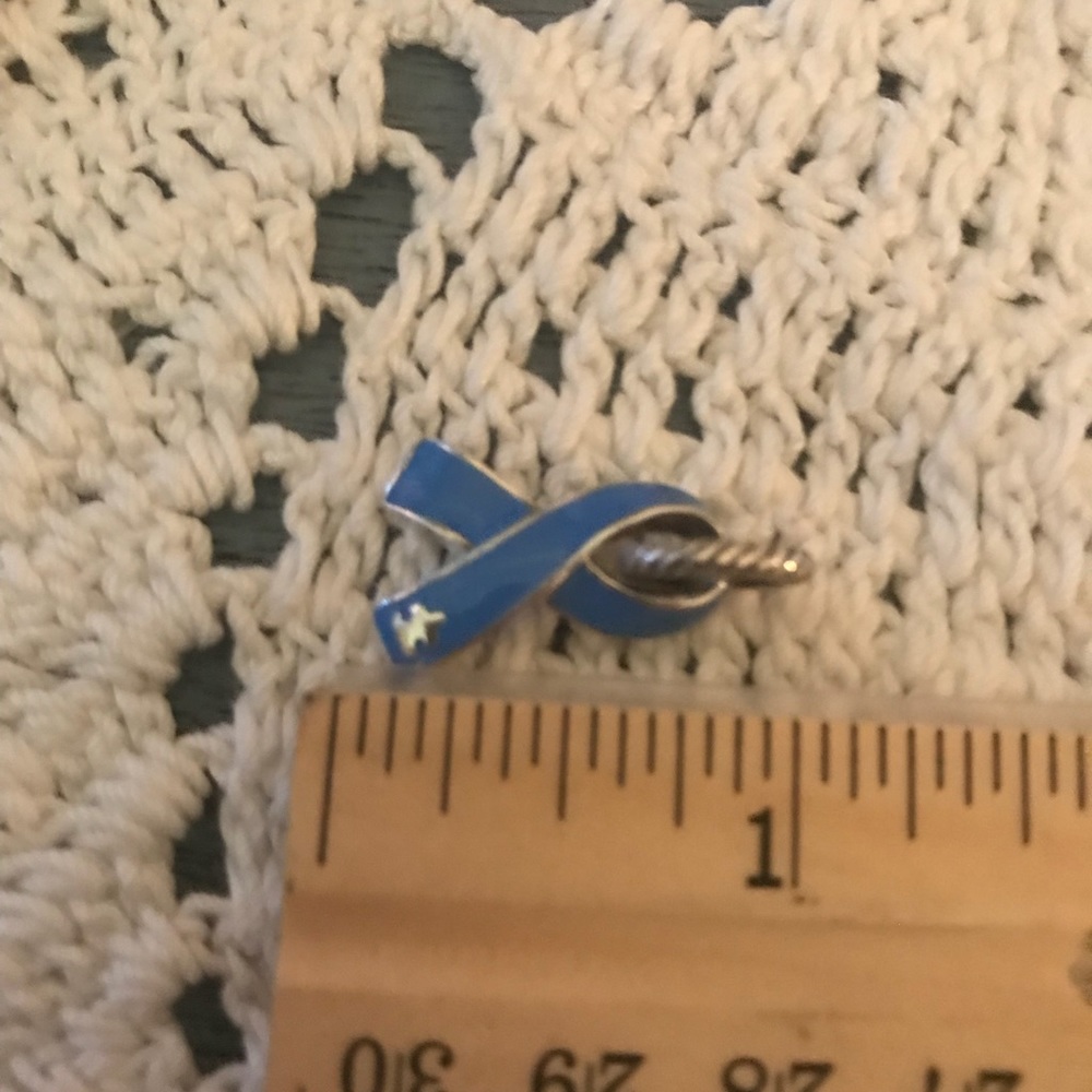 Brighton Autism Awareness Charm - Picture 5 of 6