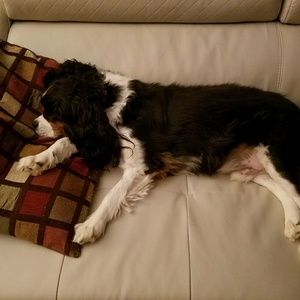 Meet your Posher, Deanna