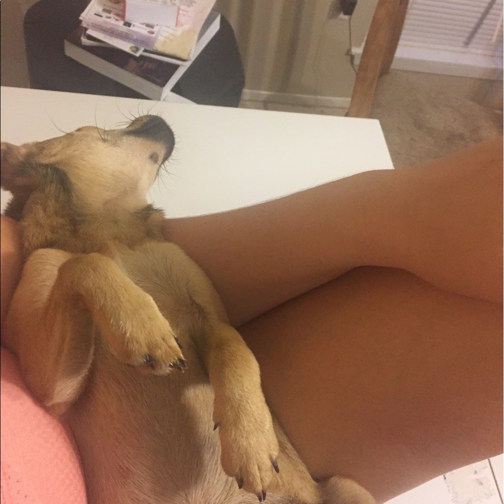 Meet your Posher, Jessica