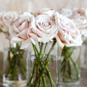 Meet your Posher, Diana