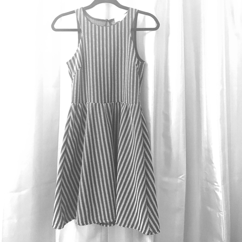 DRESS NWT Francesca's Black and white