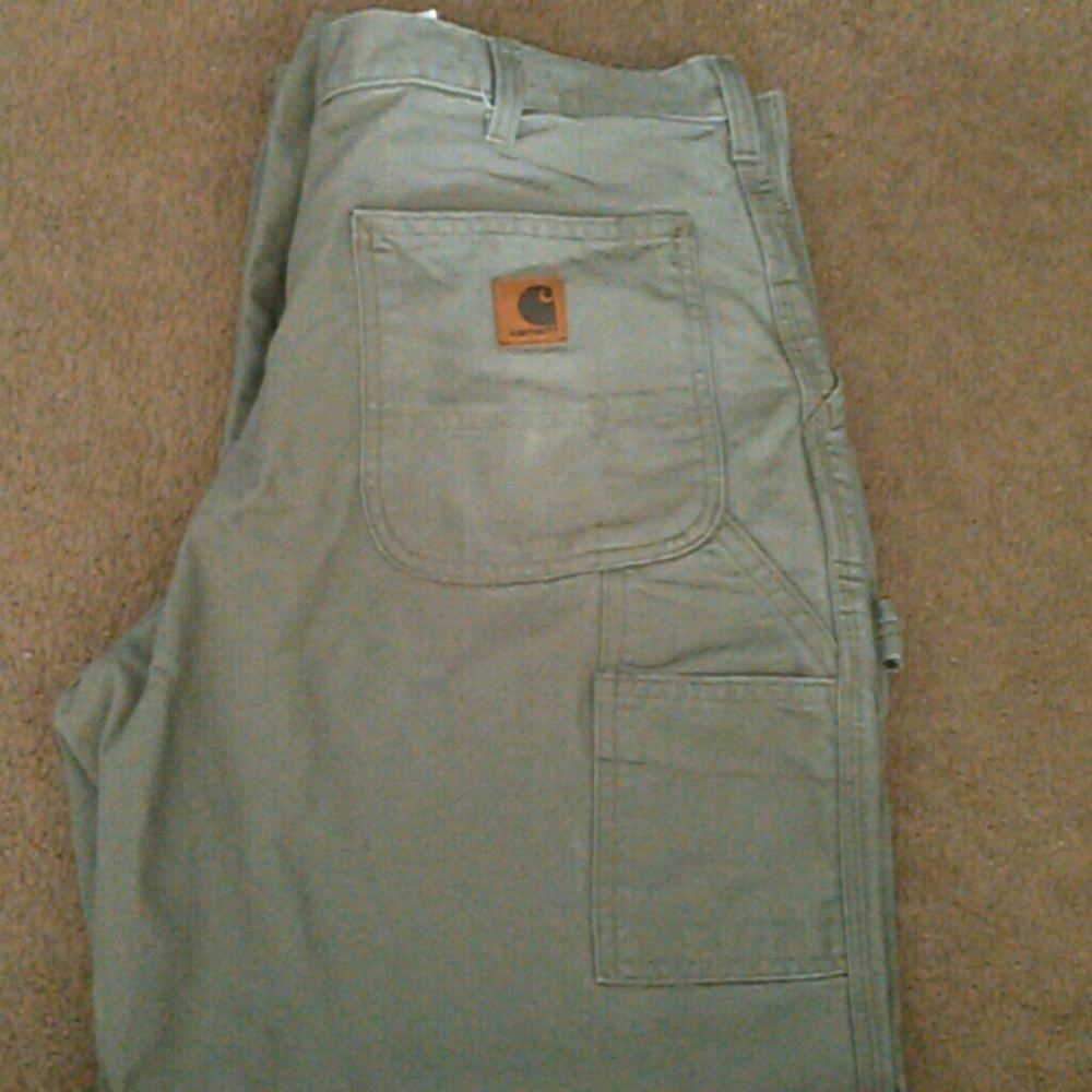 Carhartt mens pants
