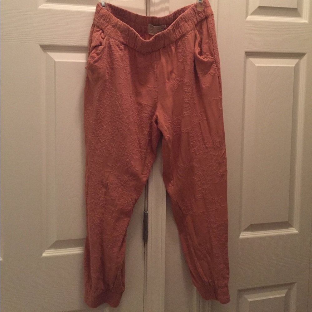 Beautiful anthropologie joggers.