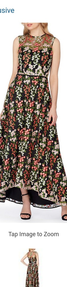 Tahari ASL Embroidered Gown