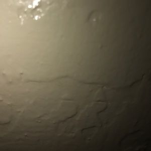 Meet your Posher, Jeddi