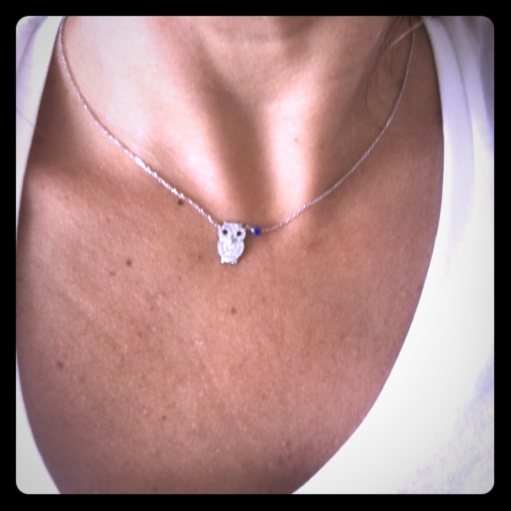 Silver owl necklace