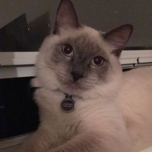 Meet your Posher, Jocelyn