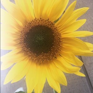 Meet your Posher, Cassie