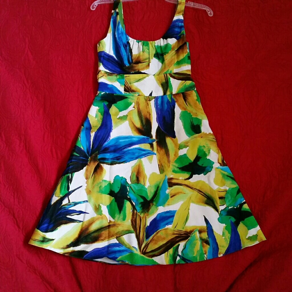 Evan Picone Sleeveless Fit and Flare Dress