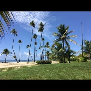 Meet your Posher, Evelina