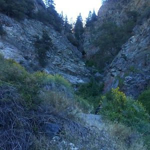 Meet your Posher, Lena