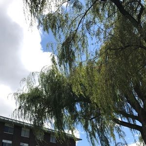 Meet your Posher, Tatym