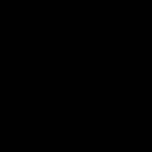 Meet your Posher, Janett