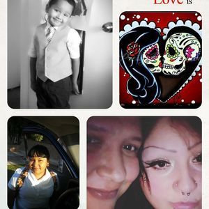 Meet your Posher, Rose