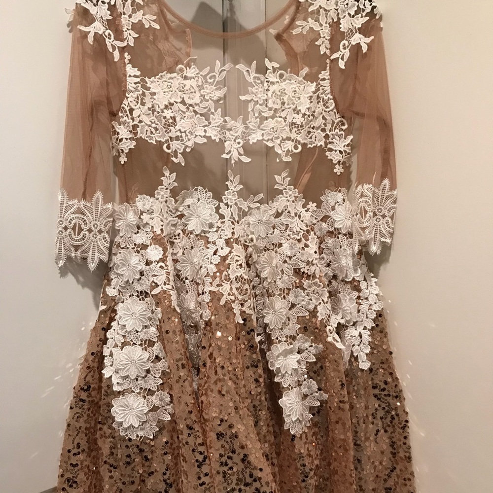 Lace Mesh Dress