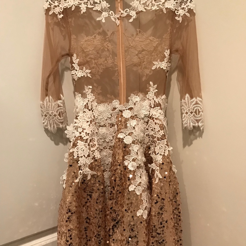 Lace Mesh Dress - Picture 2 of 2