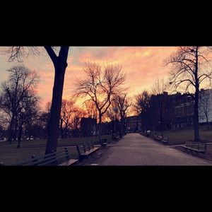 Meet your Posher, Matt