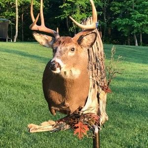 Meet your Posher, Jodi