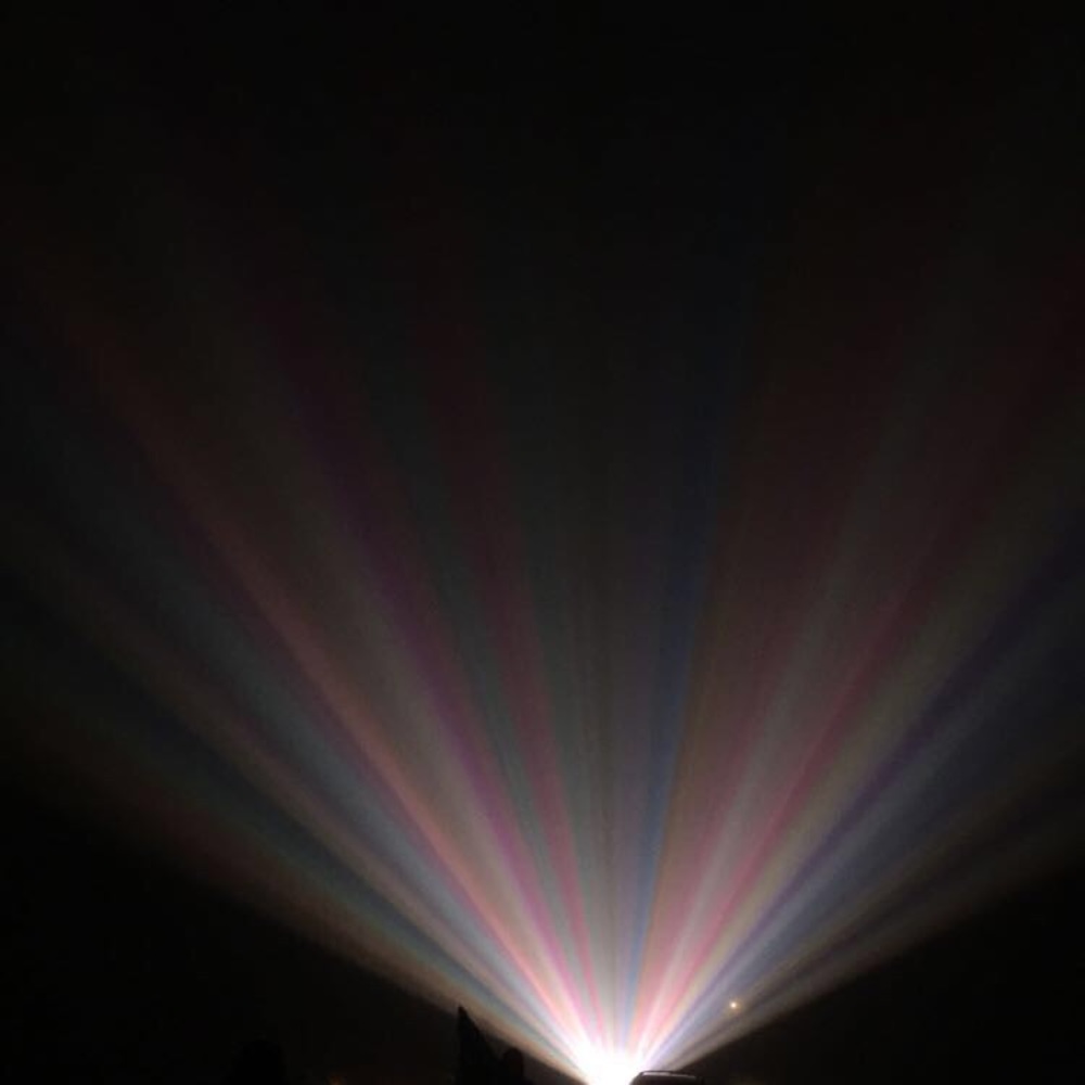 Meet your Posher, Chloe