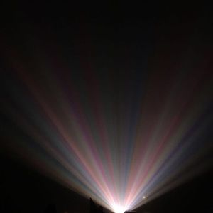 Meet your Posher, Chloe