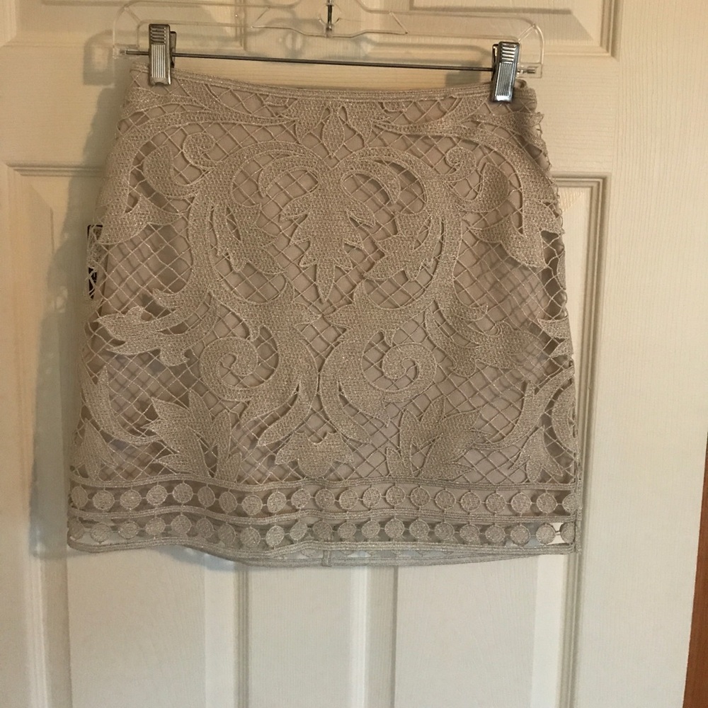 Express Metallic Lined Mini Skirt - NWT
