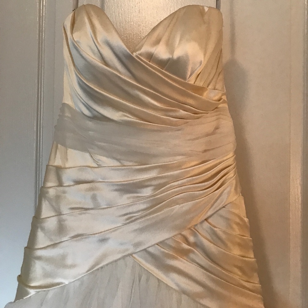 Simone Carvalli Wedding Dress/ Size 10 - Picture 3 of 6