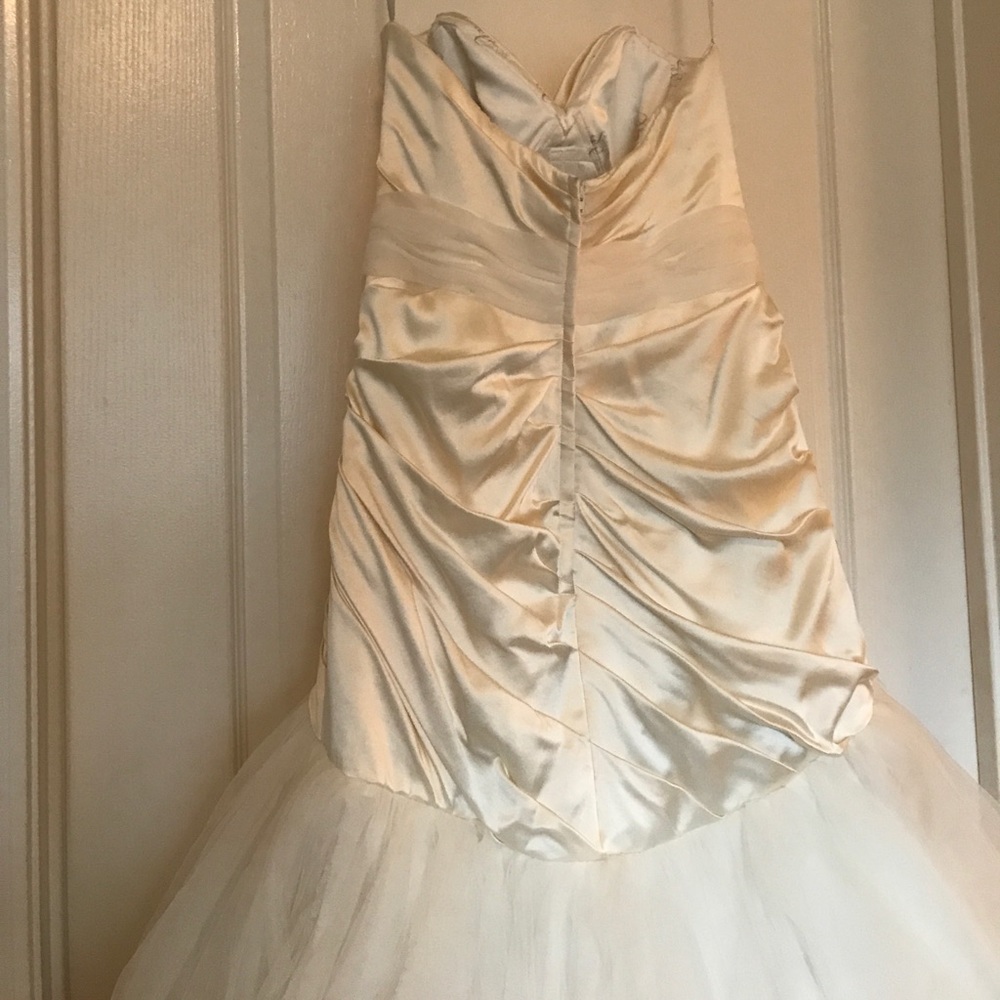 Simone Carvalli Wedding Dress/ Size 10 - Picture 4 of 6