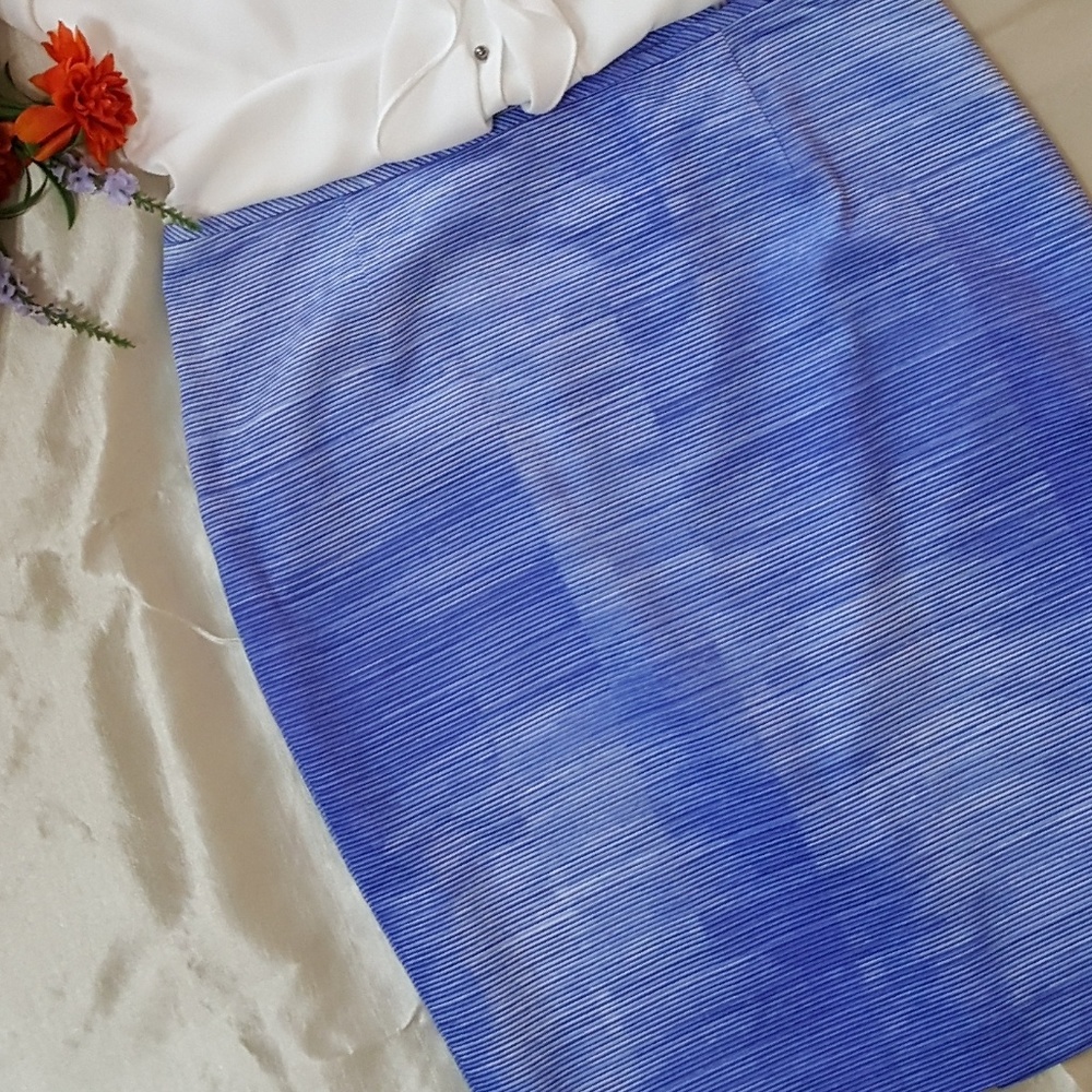 🔮New Tahari Rayan Skirt